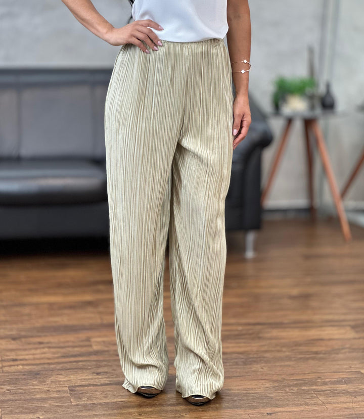 Calça Plissada X043 (4D)