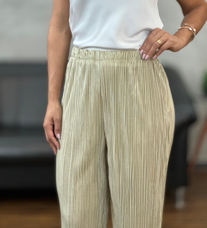 Calça Plissada X043 (4D)