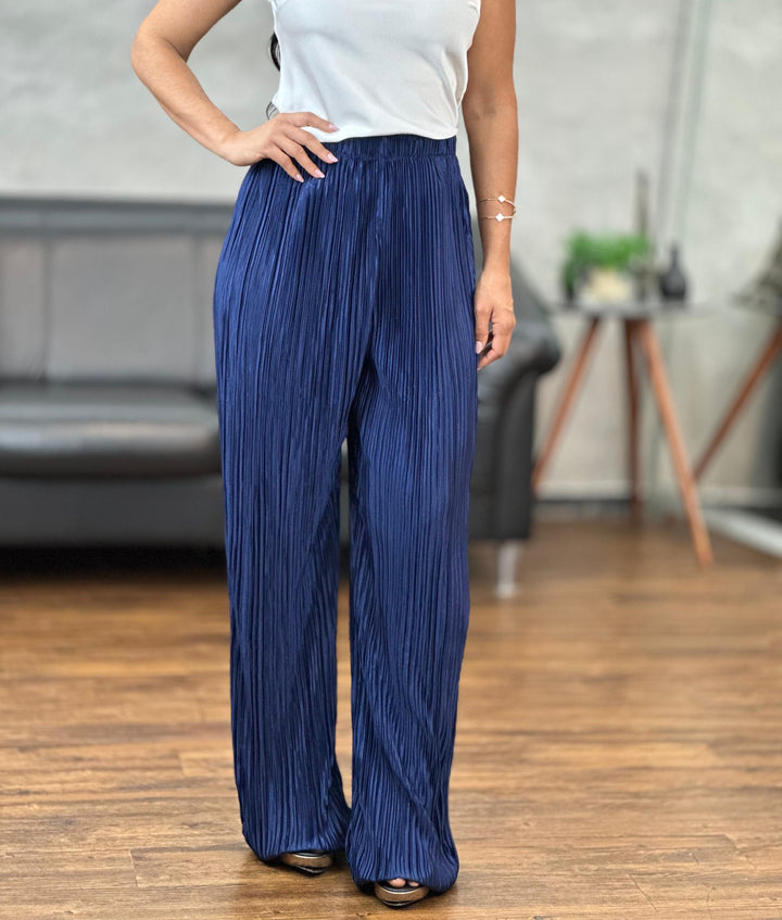 Calça Plissada X043 (4D)