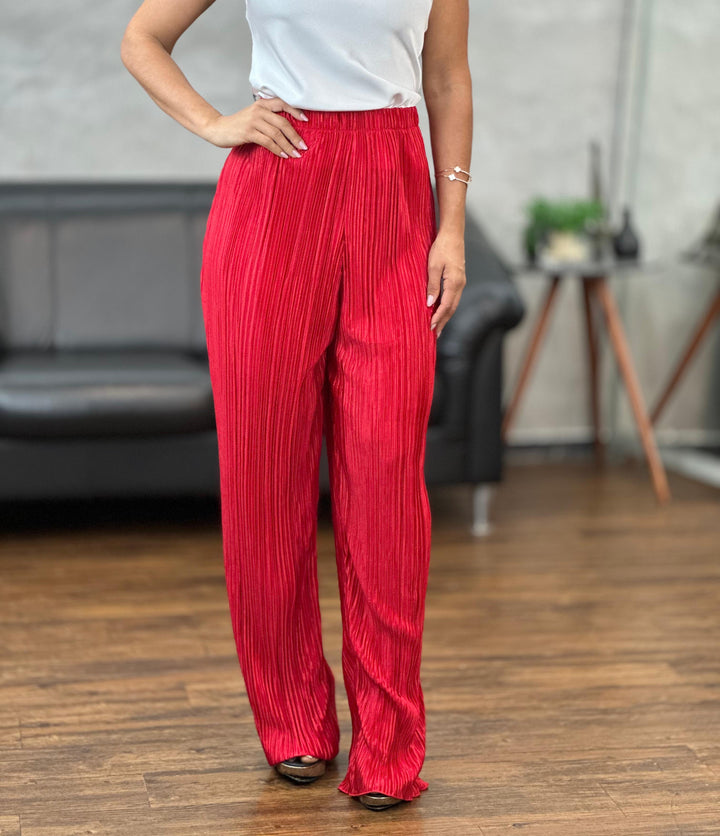 Calça Plissada X043 (4D)