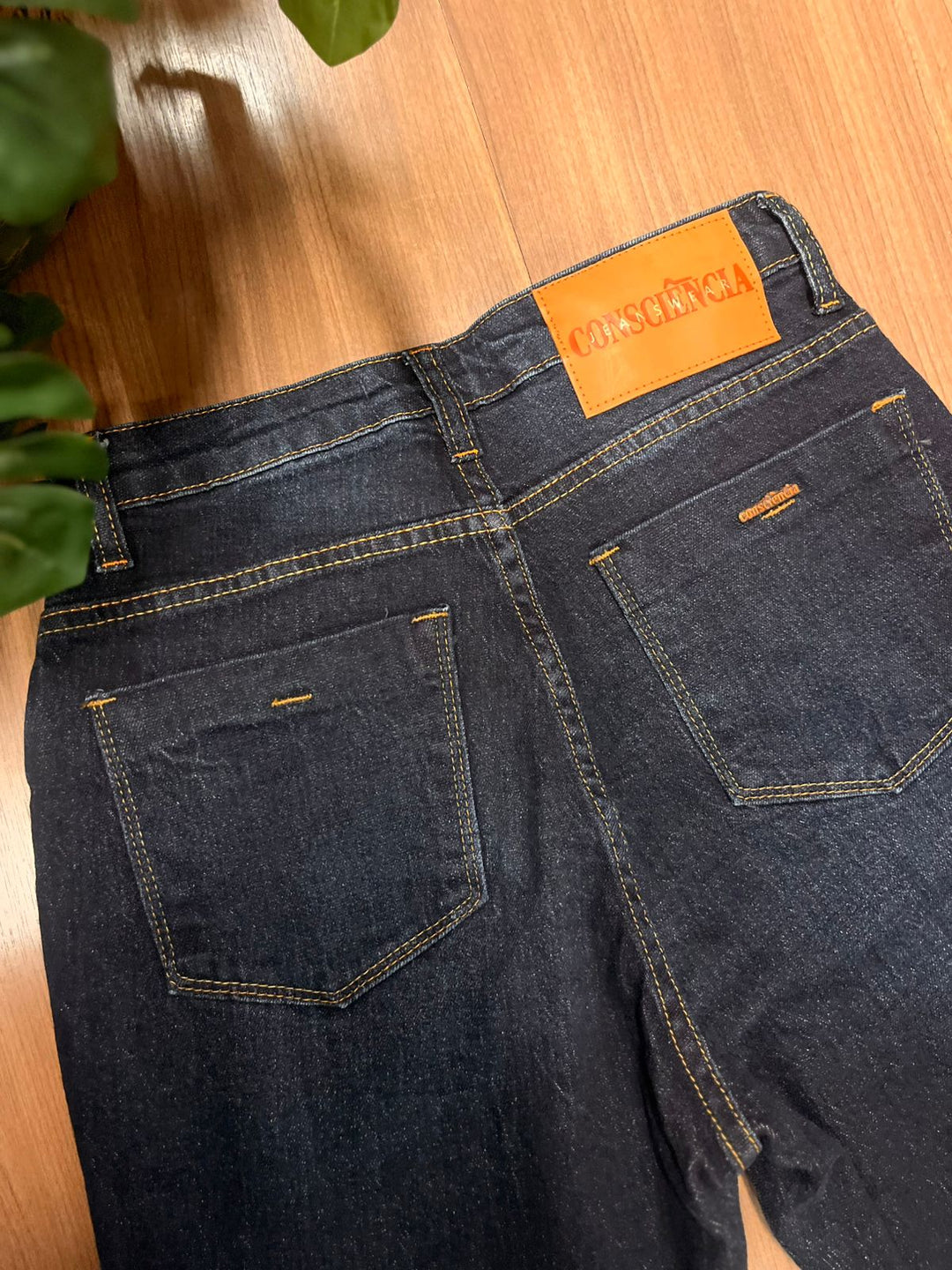 Calça Consciência Jeans 23806