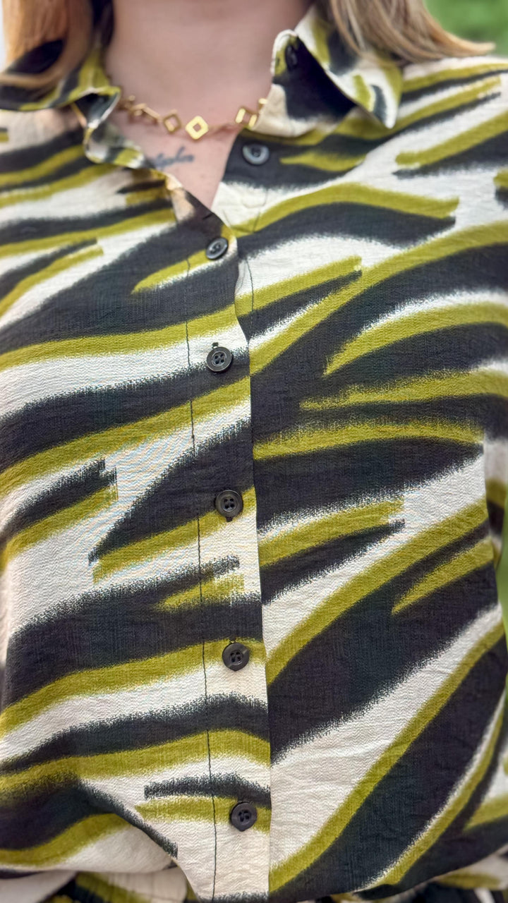 Camisa Estampa Rajada 3688/1