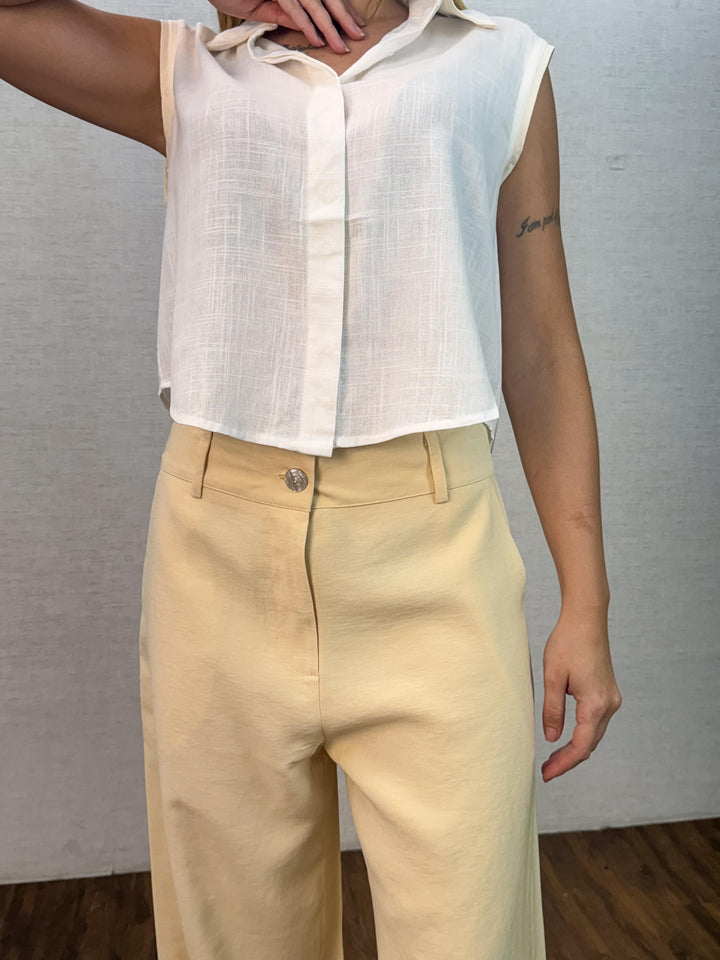 Calça Alfaiataria Pantalona 1261