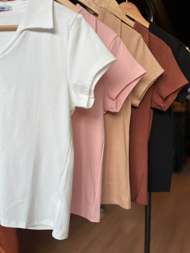 Camisa Polo X177  ( 1-D )