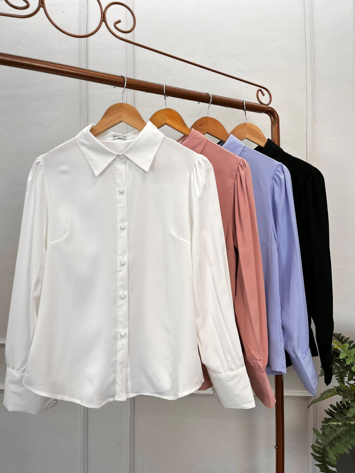 Camisa Lisa 2502   (1-A)
