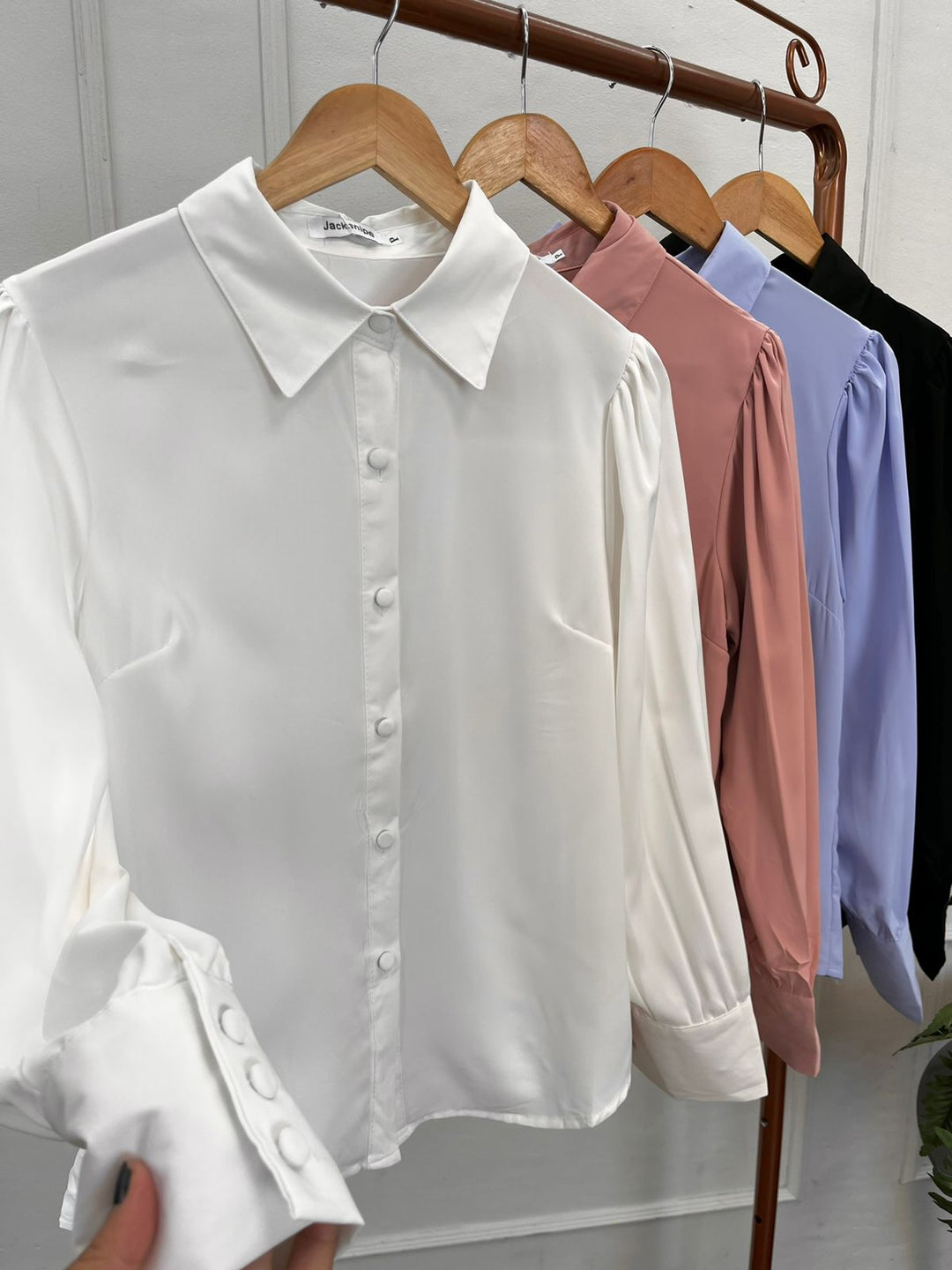 Camisa Lisa 2502   (1-A)