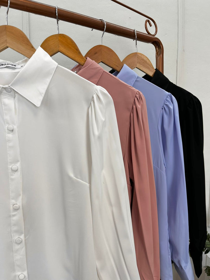 Camisa Lisa 2502   (1-A)