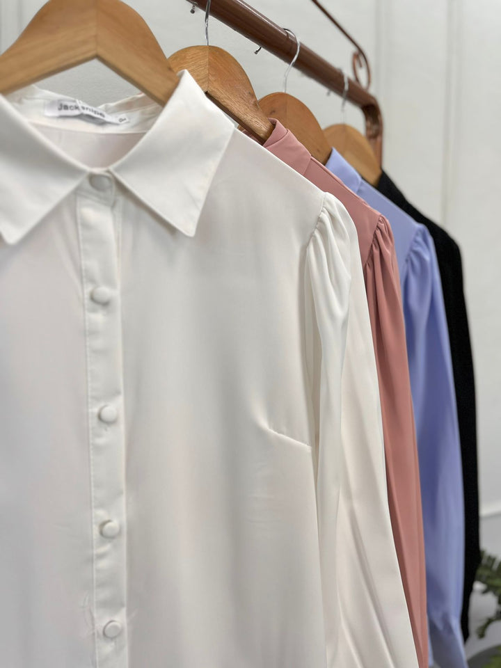 Camisa Lisa 2502   (1-A)